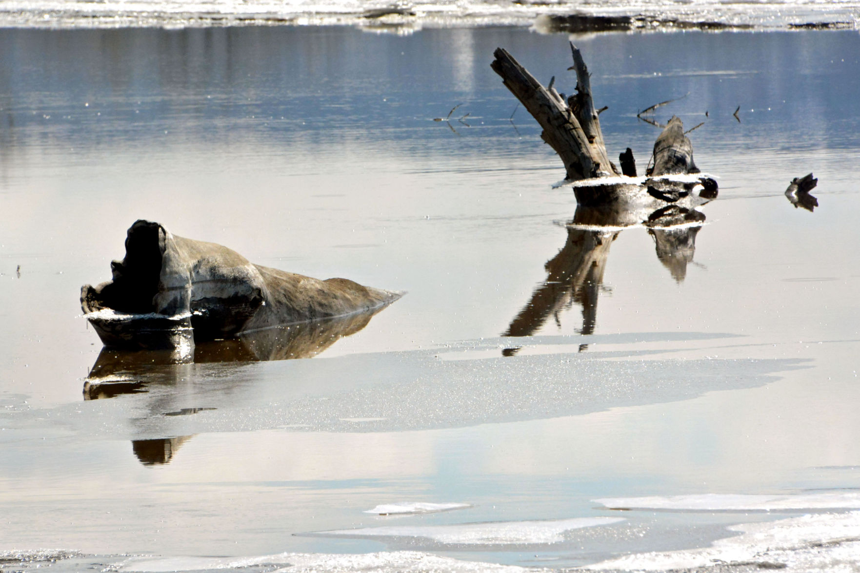 Reflections
